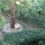 海滩房屋公寓