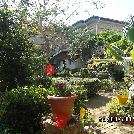 House * Sidé
