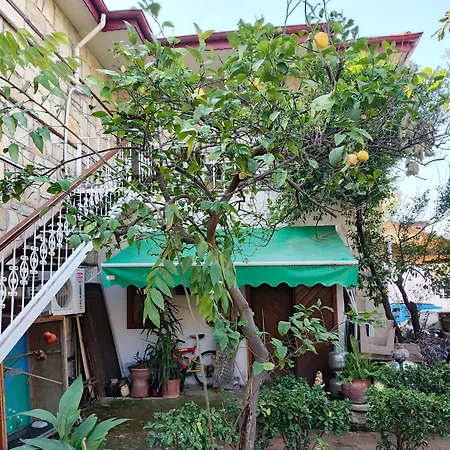 House דירה סייד