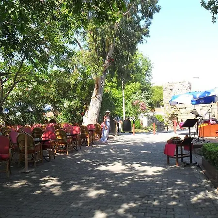 House アパート *